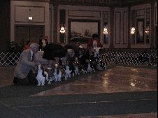 Enlarge photo 23