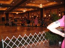 Enlarge photo 34