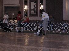 Enlarge photo 63