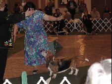 Enlarge photo 125