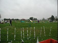 Enlarge photo 132