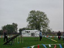 Enlarge photo 141