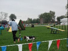 Enlarge photo 143