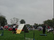 Enlarge photo 148