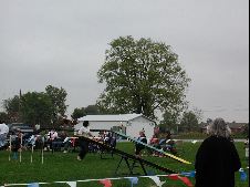 Enlarge photo 153