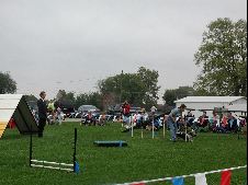 Enlarge photo 155