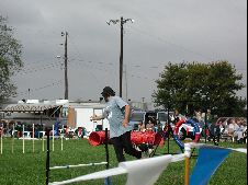 Enlarge photo 157