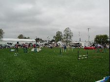 Enlarge photo 162