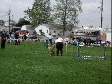 Enlarge photo 165