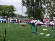 Enlarge photo 166