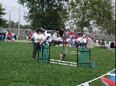 Enlarge photo 167
