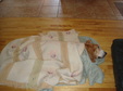Enlarge photo 2