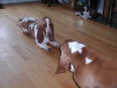 Enlarge photo 7