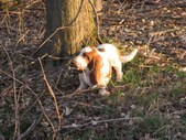 Enlarge photo 7