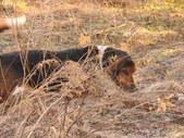 Enlarge photo 16