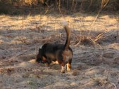 Enlarge photo 17