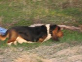 Enlarge photo 18