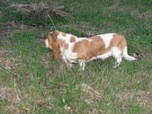 Enlarge photo 24
