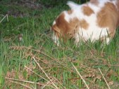 Enlarge photo 27