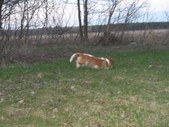 Enlarge photo 30