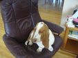 Enlarge photo 18