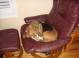 Enlarge photo 5