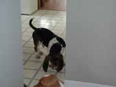 Enlarge photo 37