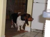 Enlarge photo 2