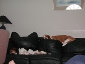 Enlarge photo 27