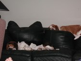 Enlarge photo 28