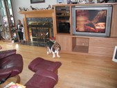 Enlarge photo 31