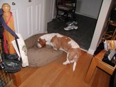 Enlarge photo 38