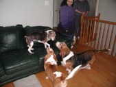 Enlarge photo 7