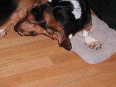 Enlarge photo 11