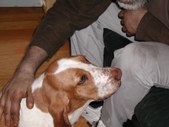 Enlarge photo 42