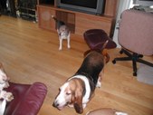 Enlarge photo 28