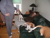 Enlarge photo 29