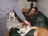 Enlarge photo 30