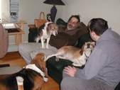 Enlarge photo 32