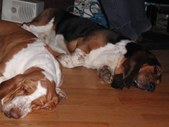 Enlarge photo 38