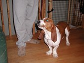 Enlarge photo 17