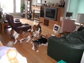 Enlarge photo 19