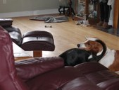 Enlarge photo 20