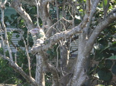 Enlarge photo 66