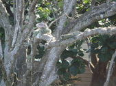 Enlarge photo 67
