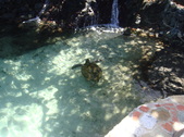 Enlarge photo 69