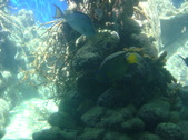 Enlarge photo 79