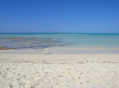 Enlarge photo 135