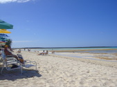 Enlarge photo 137