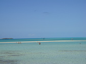 Enlarge photo 139